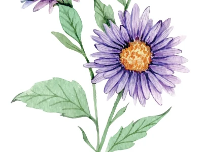 Aster Listing Roadmap: What It Means for Coinbase – What Reddit is Saying